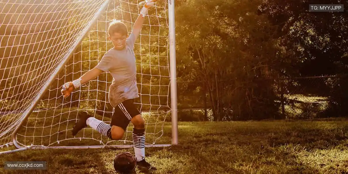 🎁收藏热爱，见证传奇！体育周边官网，限量正品，让每一件都是独家记忆！🏆🔥